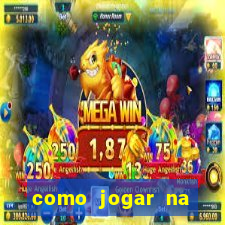 como jogar na lotinha do jogo do bicho